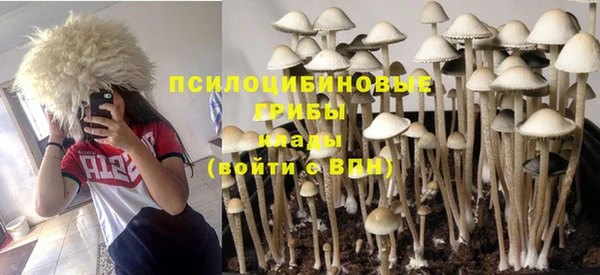 дмт Балабаново